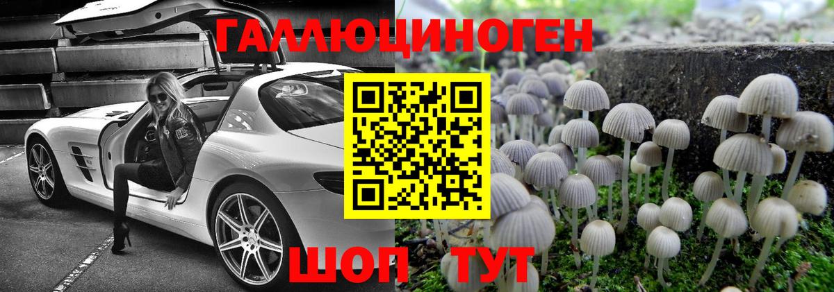 Галлюциногенные грибы Magic Shrooms Ногинск